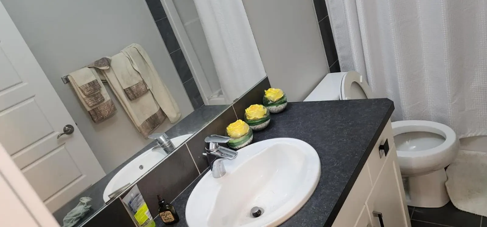 Spacious 8 Family Friend House Villa Edmonton